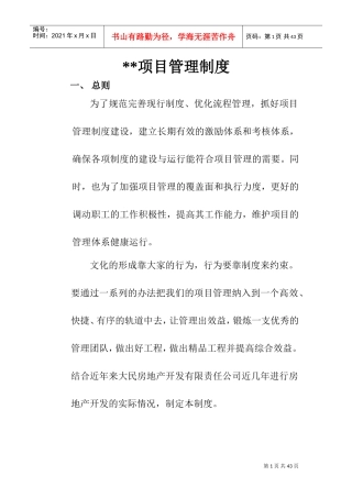 项目管理制度(DOC41页)