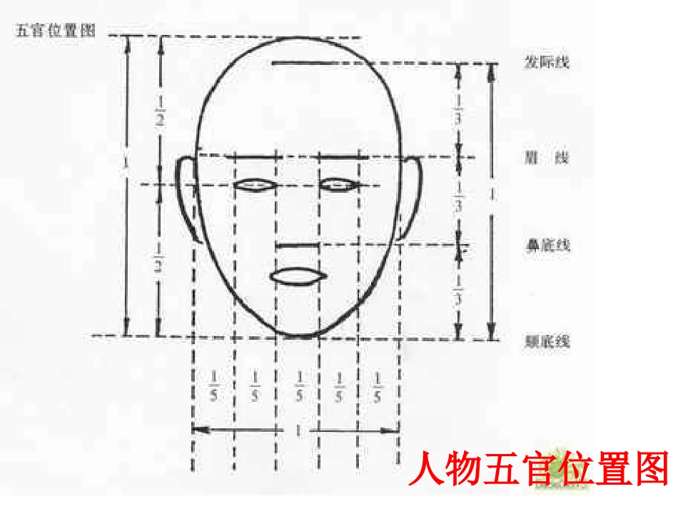 人物素描课件PPT下载人教新课标五年级美术下册课件_第2页