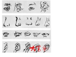 人物素描课件PPT下载人教新课标五年级美术下册课件