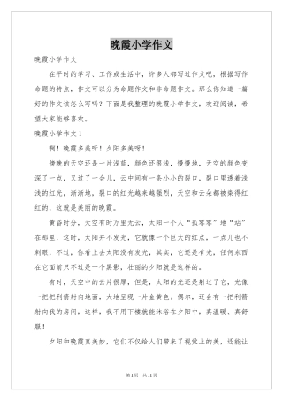 晚霞小学作文