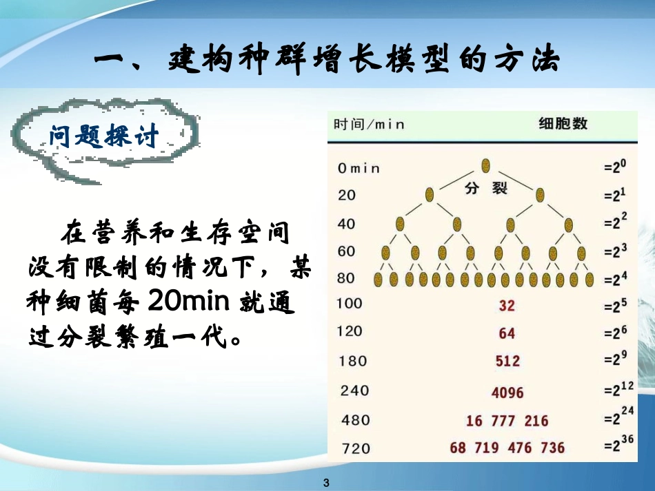 yxw--种群数量的变化_第3页