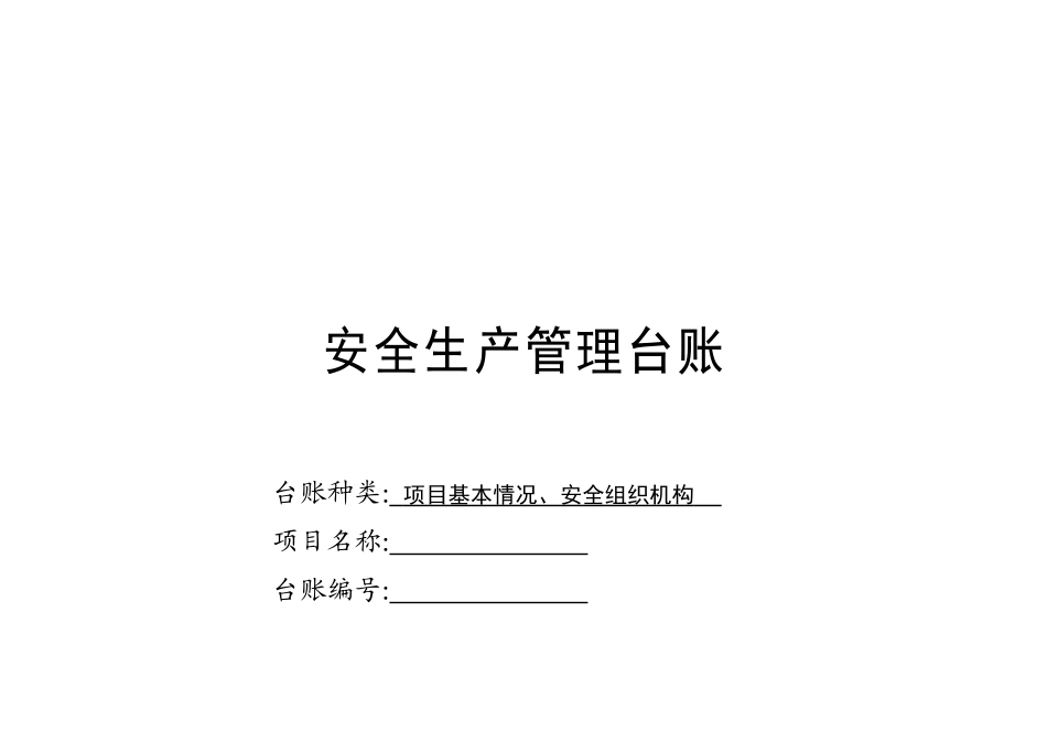 最新规范安全台帐范本_第2页