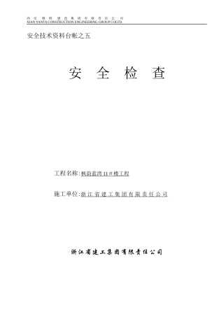 西班牙安全检查记录表