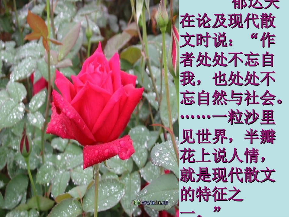 《荷塘月色》_第2页