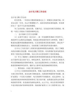 会计见习期工作总结 