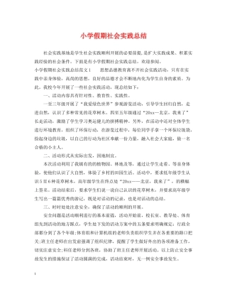 小学假期社会实践总结