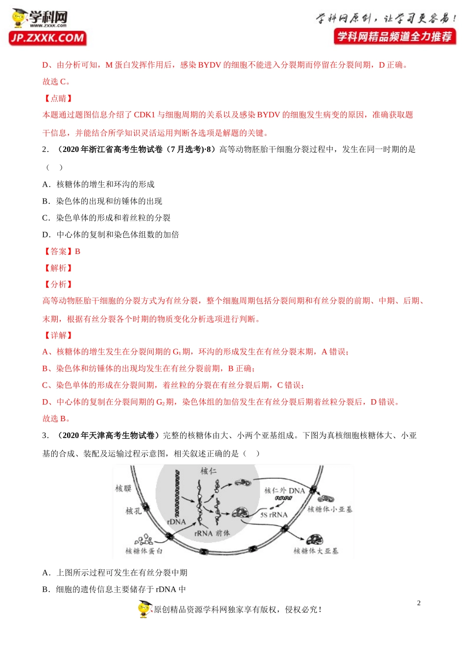 专题05有丝分裂和减数分裂-三年（2018-2020）高考真题生物分项汇编（解析版）_第2页