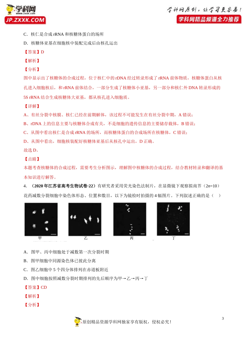 专题05有丝分裂和减数分裂-三年（2018-2020）高考真题生物分项汇编（解析版）_第3页