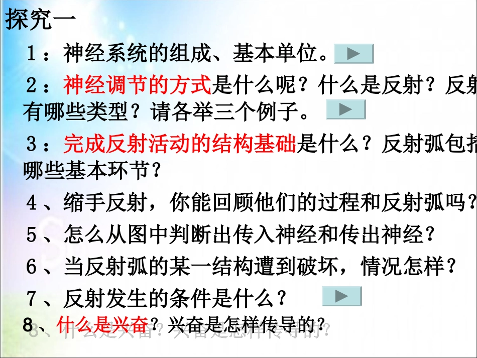 通过神经系统的调节1-副本_第2页