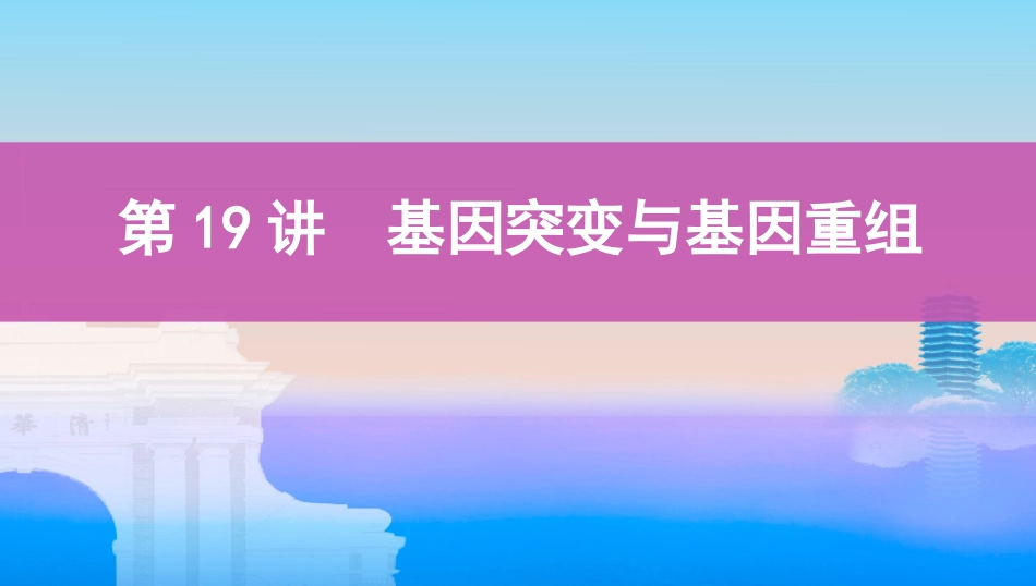 第19讲　基因突变与基因重组_第1页