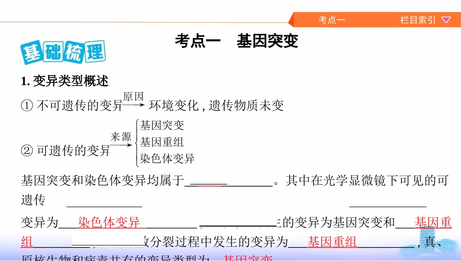 第19讲　基因突变与基因重组_第2页