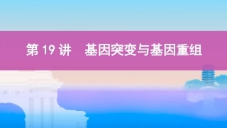 第19讲　基因突变与基因重组