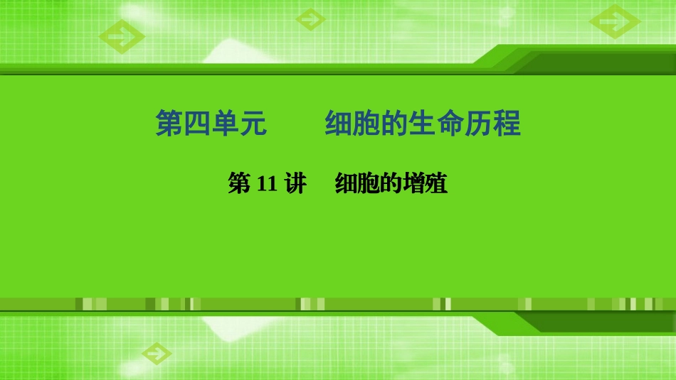 第11讲细胞的增殖_第1页