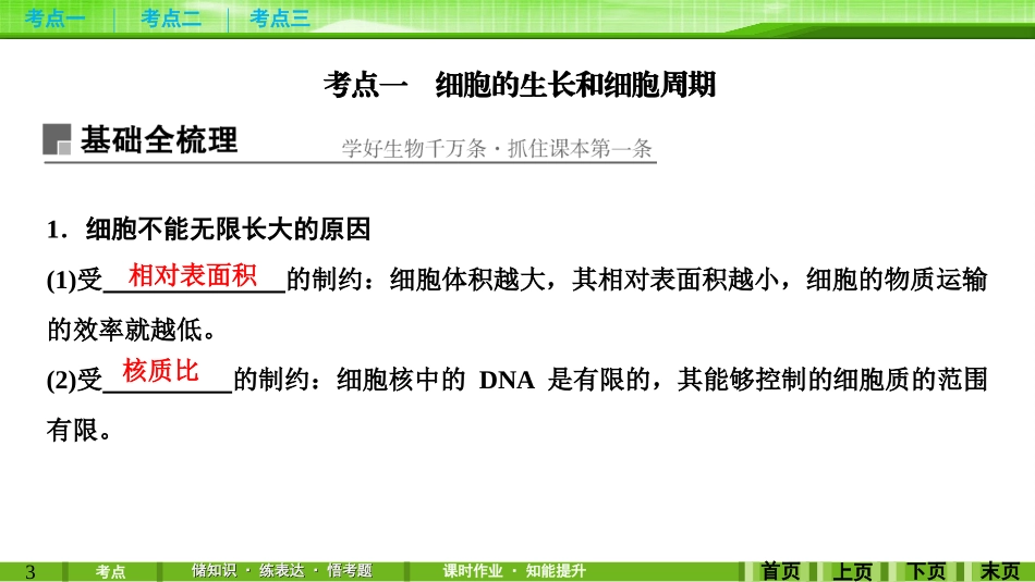 第11讲细胞的增殖_第3页