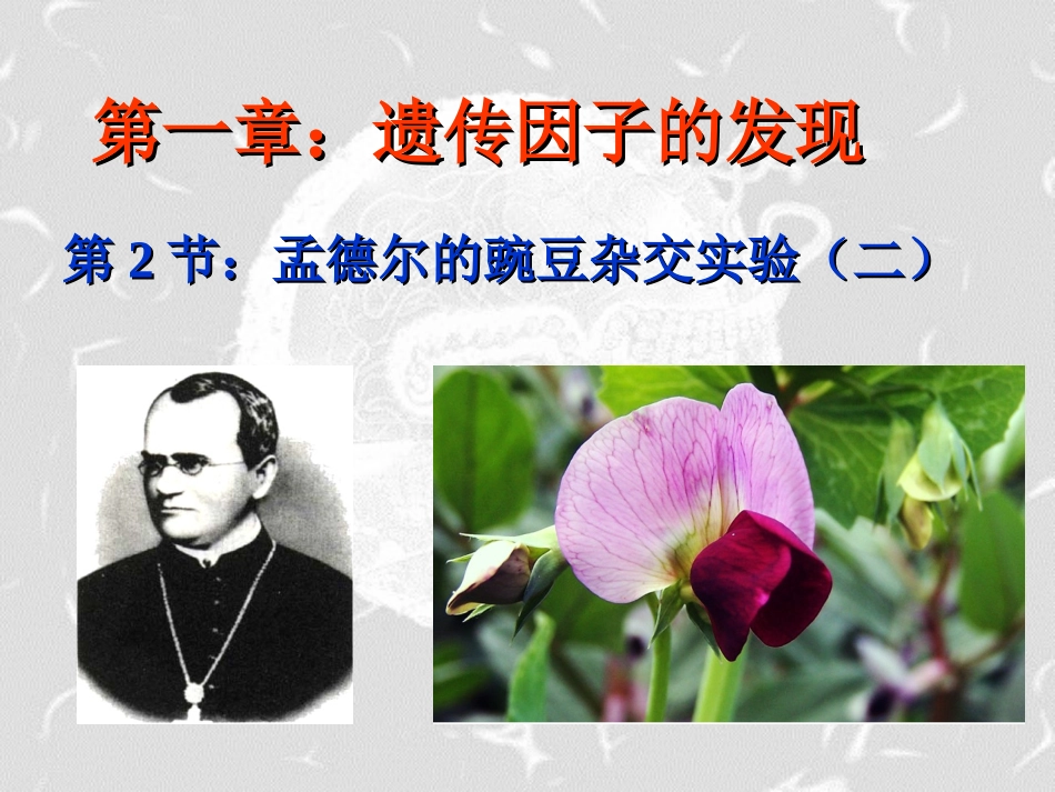 人教版高一生物必修二12《孟德尔的豌豆杂交实验（二）》课件x(共20张PPT)_第1页
