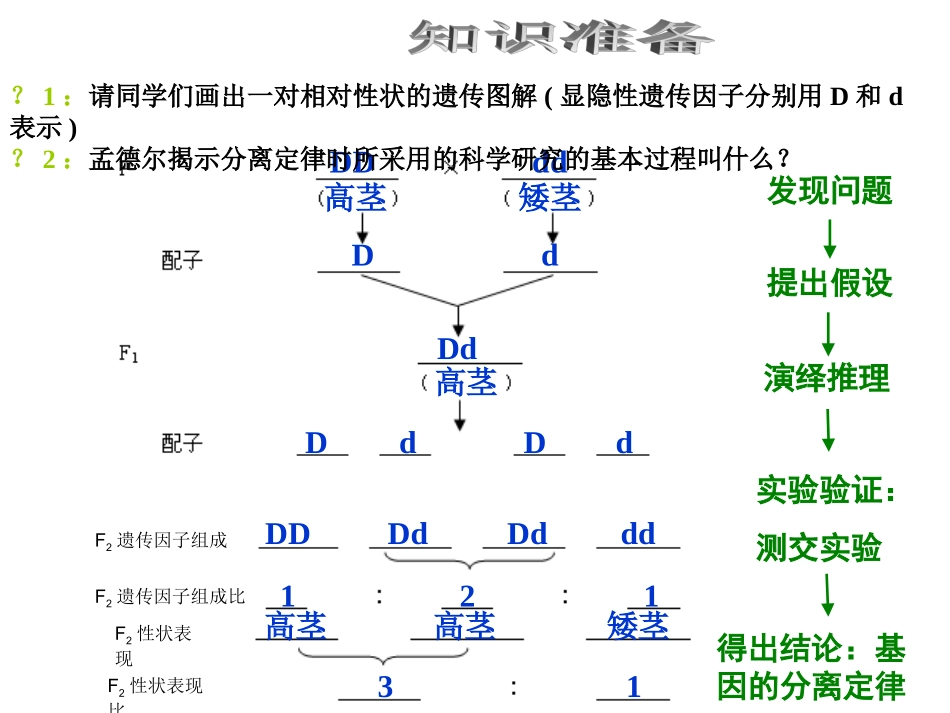 人教版高一生物必修二12《孟德尔的豌豆杂交实验（二）》课件x(共20张PPT)_第2页