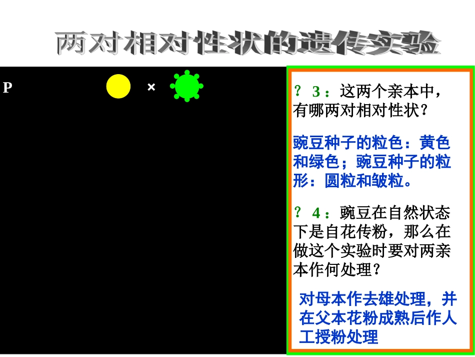 人教版高一生物必修二12《孟德尔的豌豆杂交实验（二）》课件x(共20张PPT)_第3页