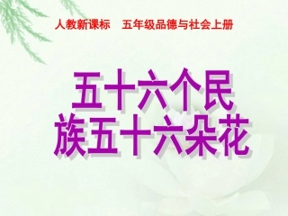 五十六个民族五十六朵花课件(PPT_25页)