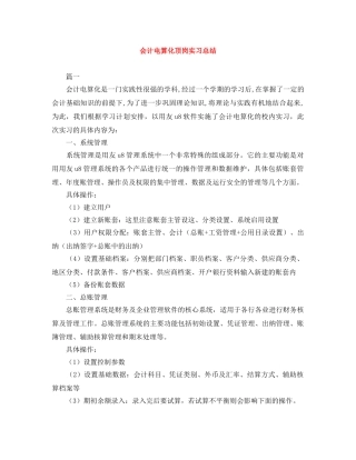 会计电算化顶岗实习总结 