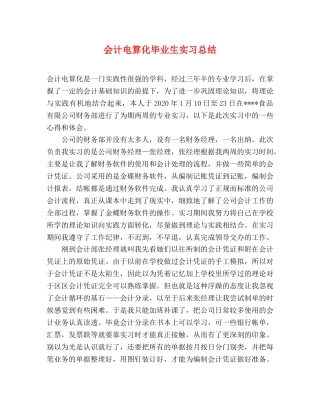 会计电算化毕业生实习总结 