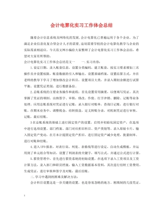 会计电算化实习工作体会总结 