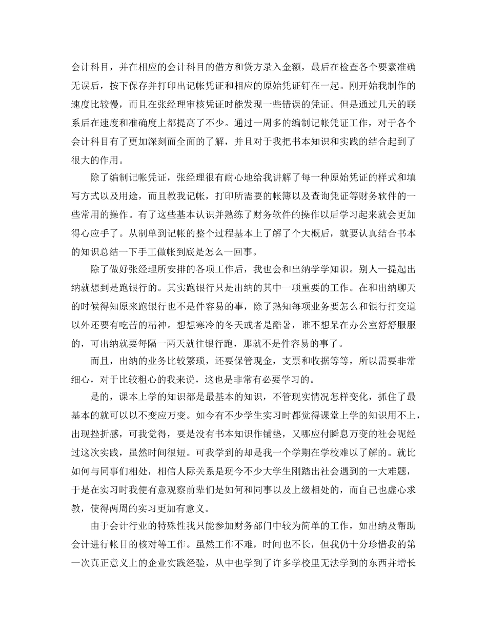 会计电算化个人实习总结 _第2页