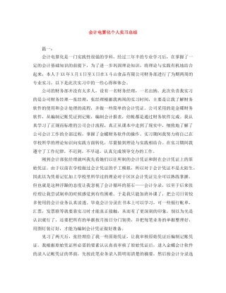 会计电算化个人实习总结 