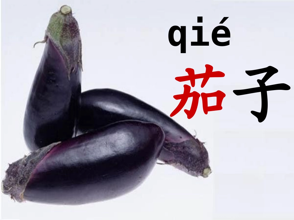 汉字家园2-1_第1页