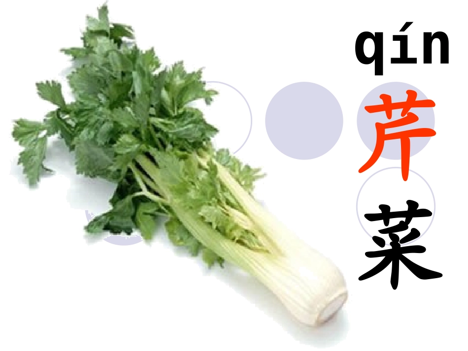 汉字家园2-1_第2页