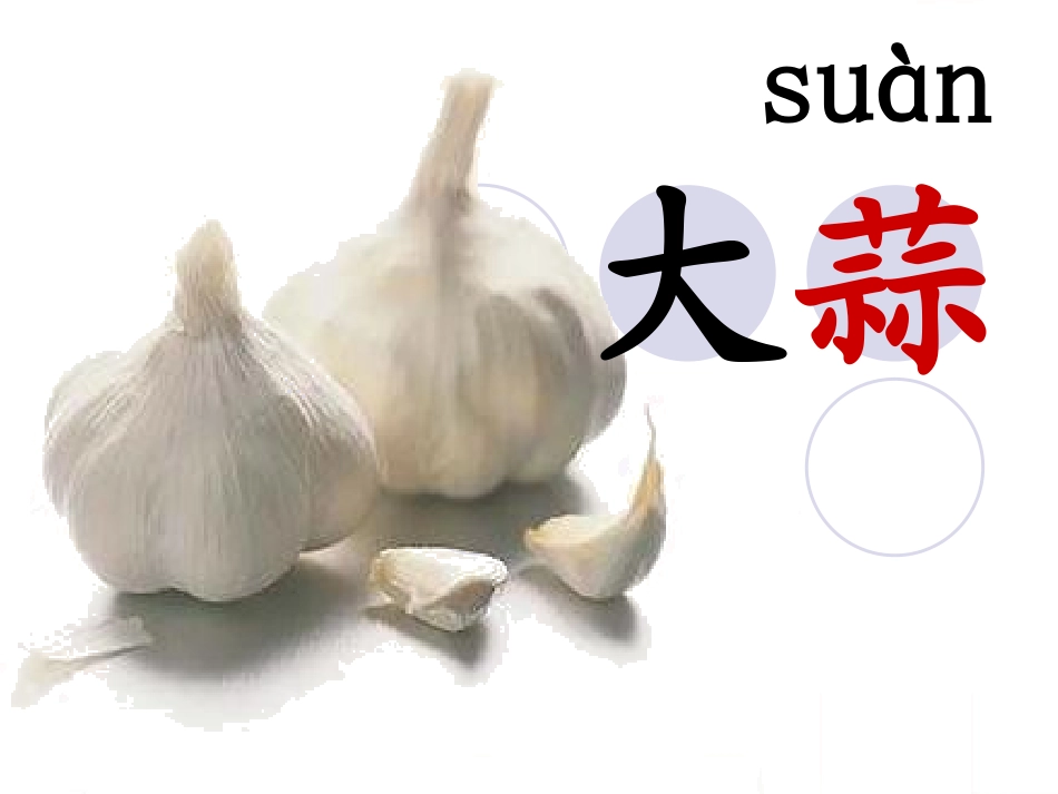 汉字家园2-1_第3页