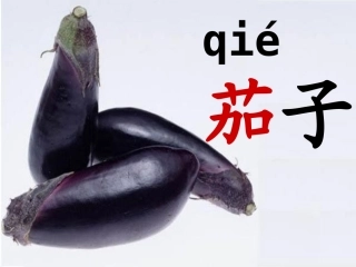 汉字家园2-1