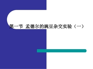 人教版高一生物必修二11《孟德尔的豌豆杂交实验（一）》课件(共36张PPT)