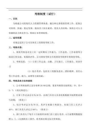 某小公司考核制度试行(1)
