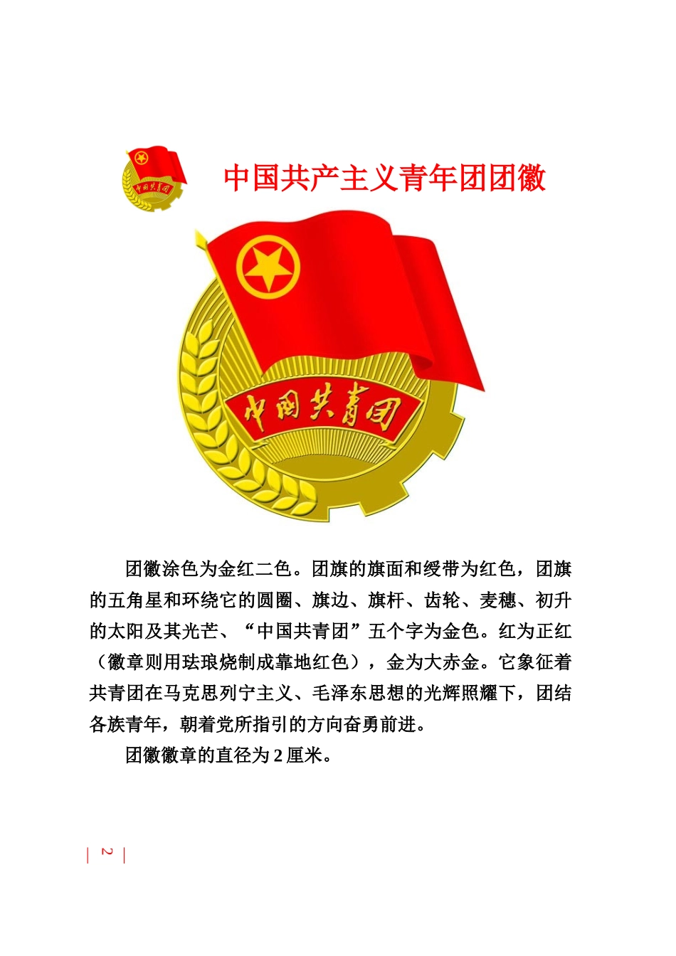 共青团工作制度_第2页