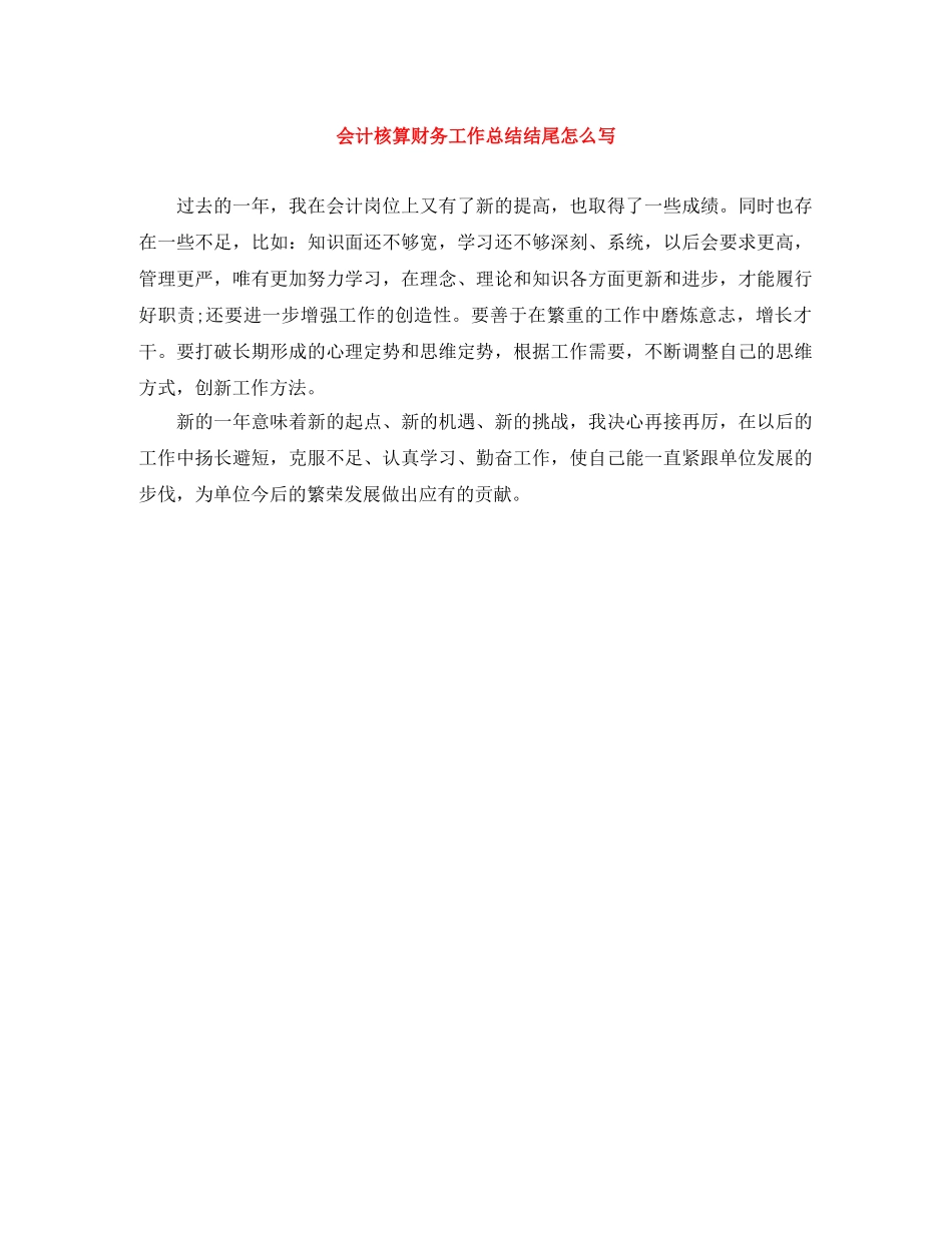 会计核算财务工作总结结尾怎么写 _第1页