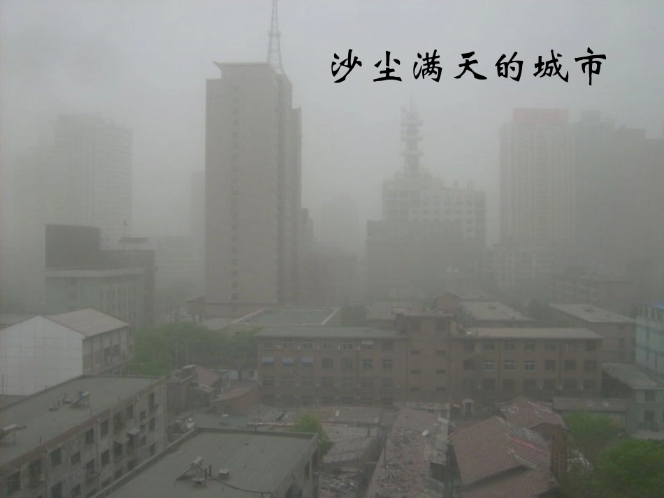 《青山不老》PPT课件()_第3页