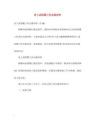 员工试用期工作自我评价2