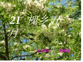 课件_《槐乡五月》_语文_郭顺斐