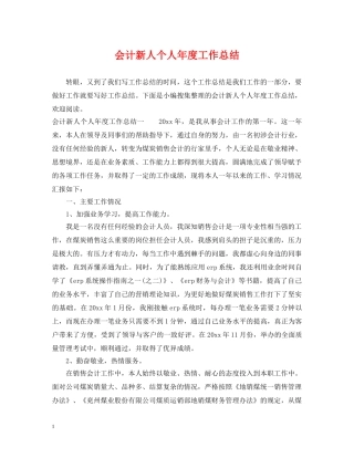 会计新人个人年度工作总结 