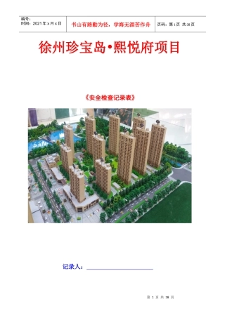 安全检查记录表616(在改)