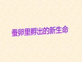 蚕卵里孵出的新生命