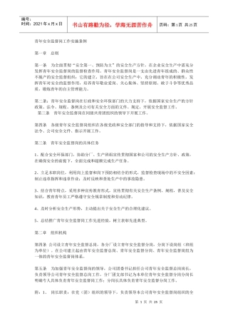 青年安全监督岗工作实施条例
