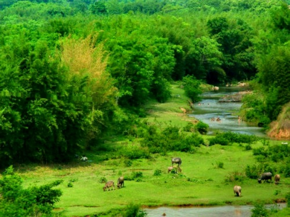 《一个小村庄的故事》课件 (2)_第3页