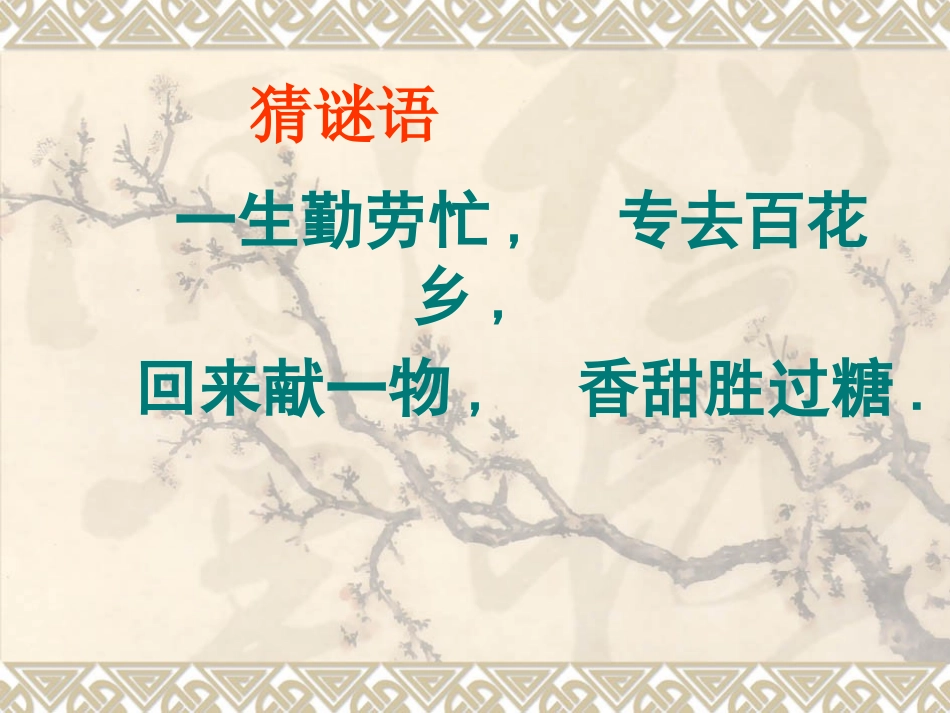 《蜜蜂》教学课件_第1页