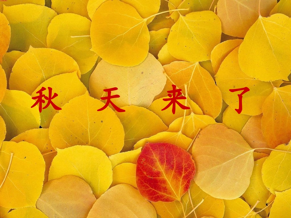秋天来了 (2)_第1页