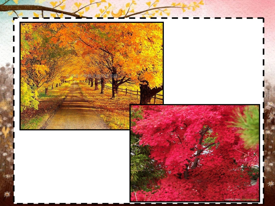 秋天来了 (2)_第2页