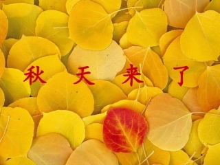 秋天来了 (2)
