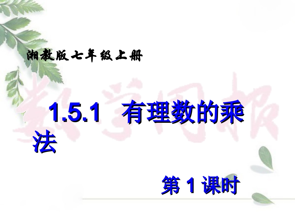 有理数的乘法（第课时）_第2页