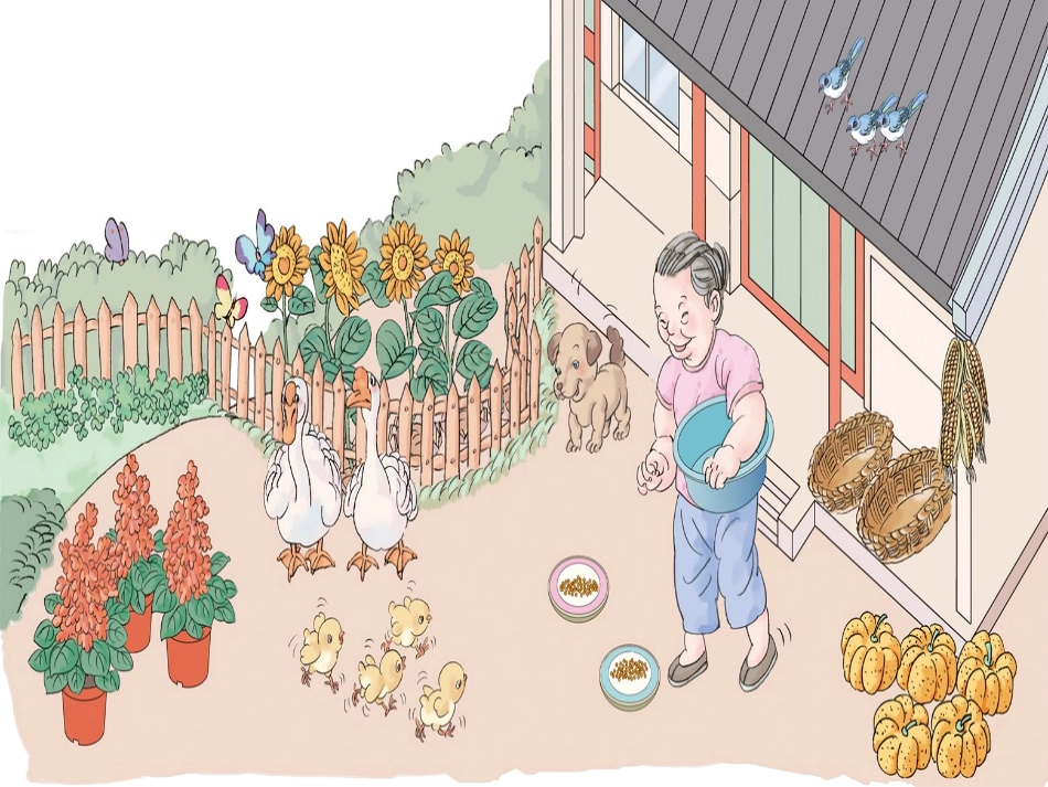 _的认识讲课_第2页