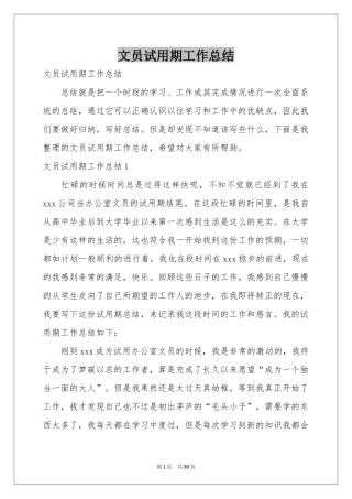 文员试用期工作参考总结